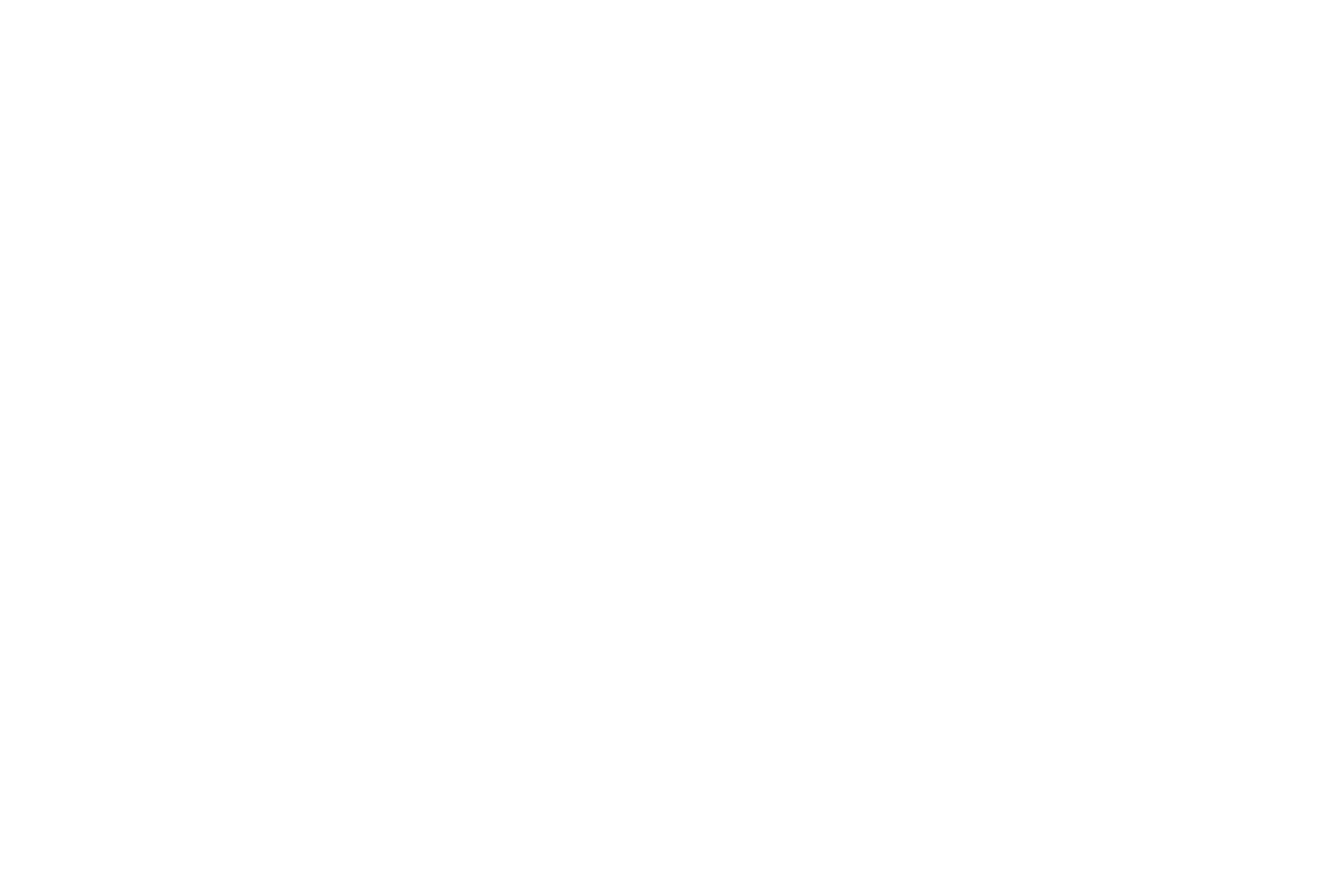 Essência AI